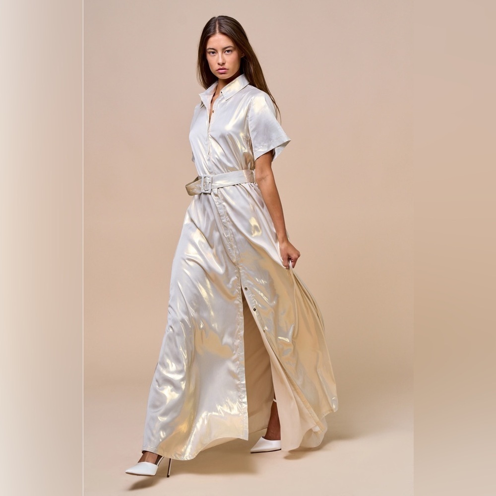 Lalavon Collared Button-Down Maxi Dress with Belt Silver